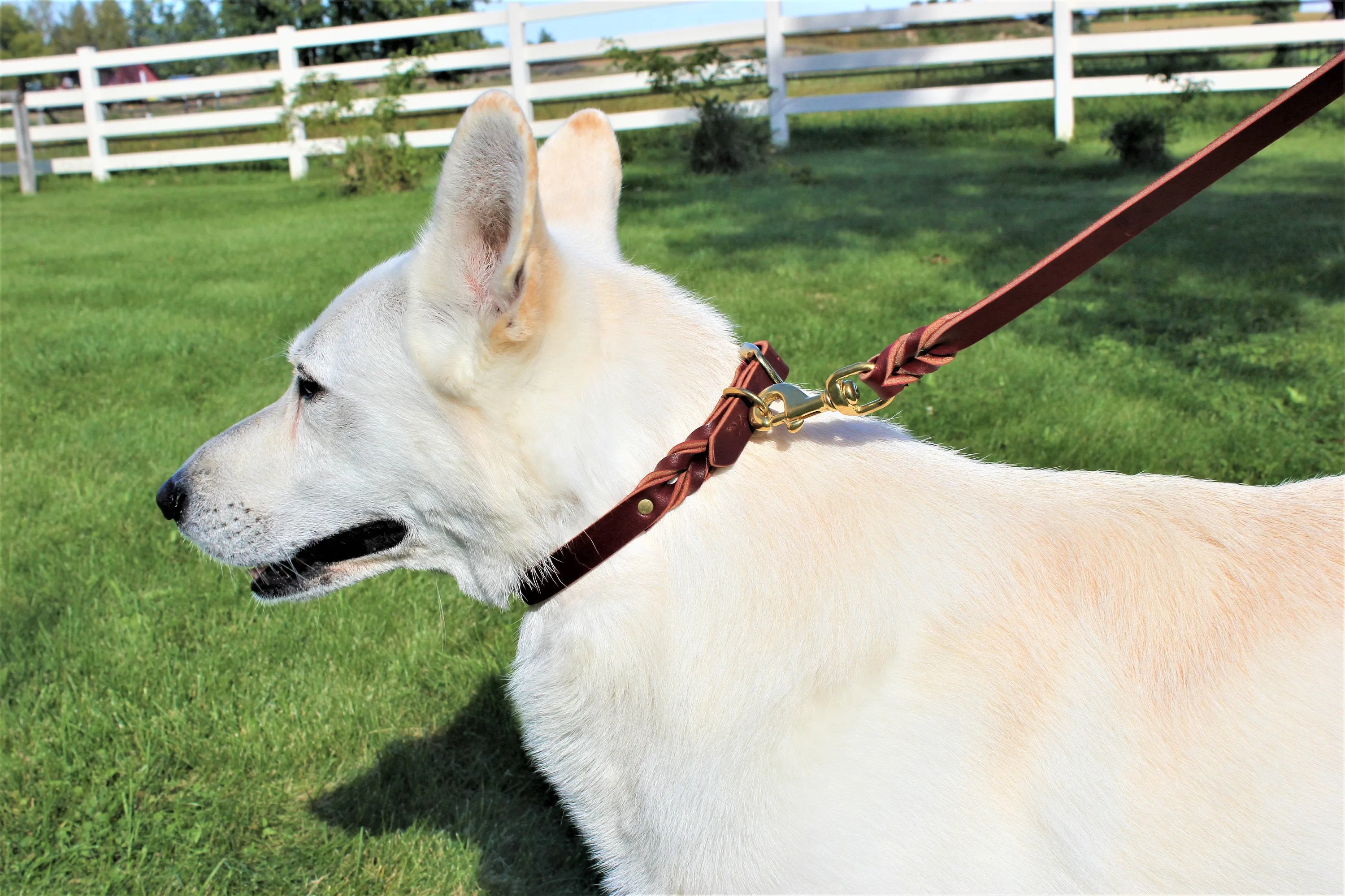 Latigo Leather Leashes 4'