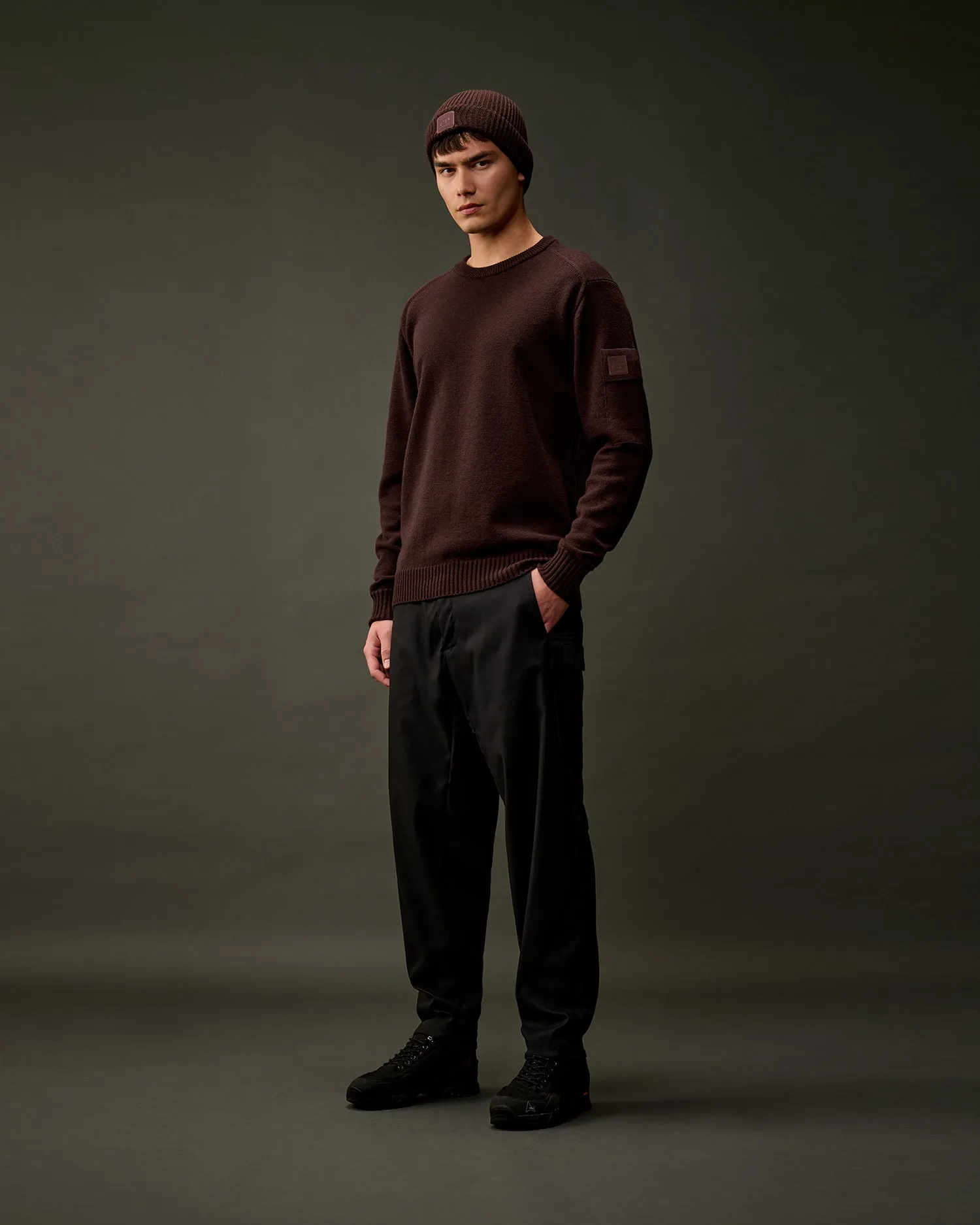 The Metropolis Series Extrafine Merino Wool Crew Neck Knit -Rum Raisin