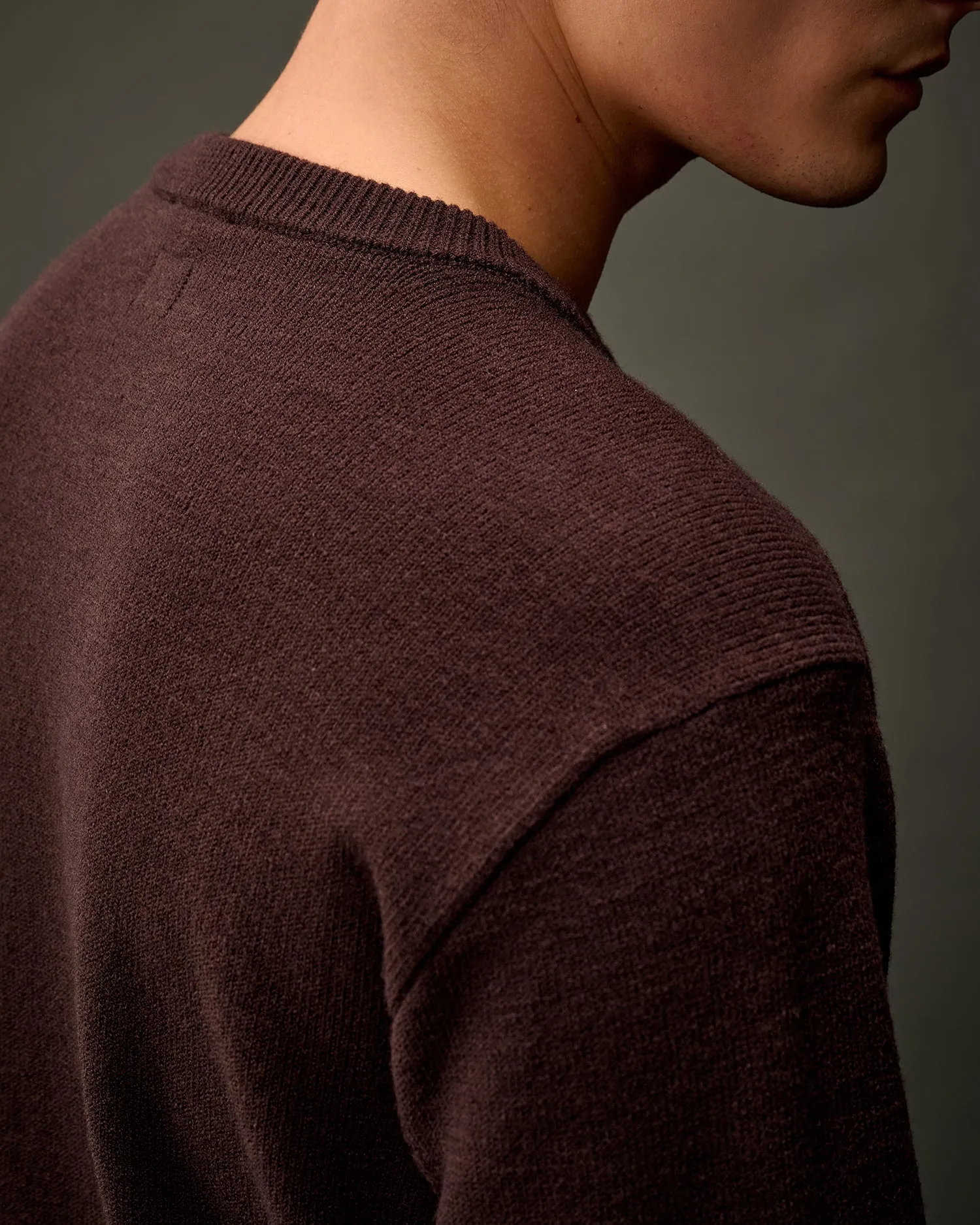 The Metropolis Series Extrafine Merino Wool Crew Neck Knit -Rum Raisin