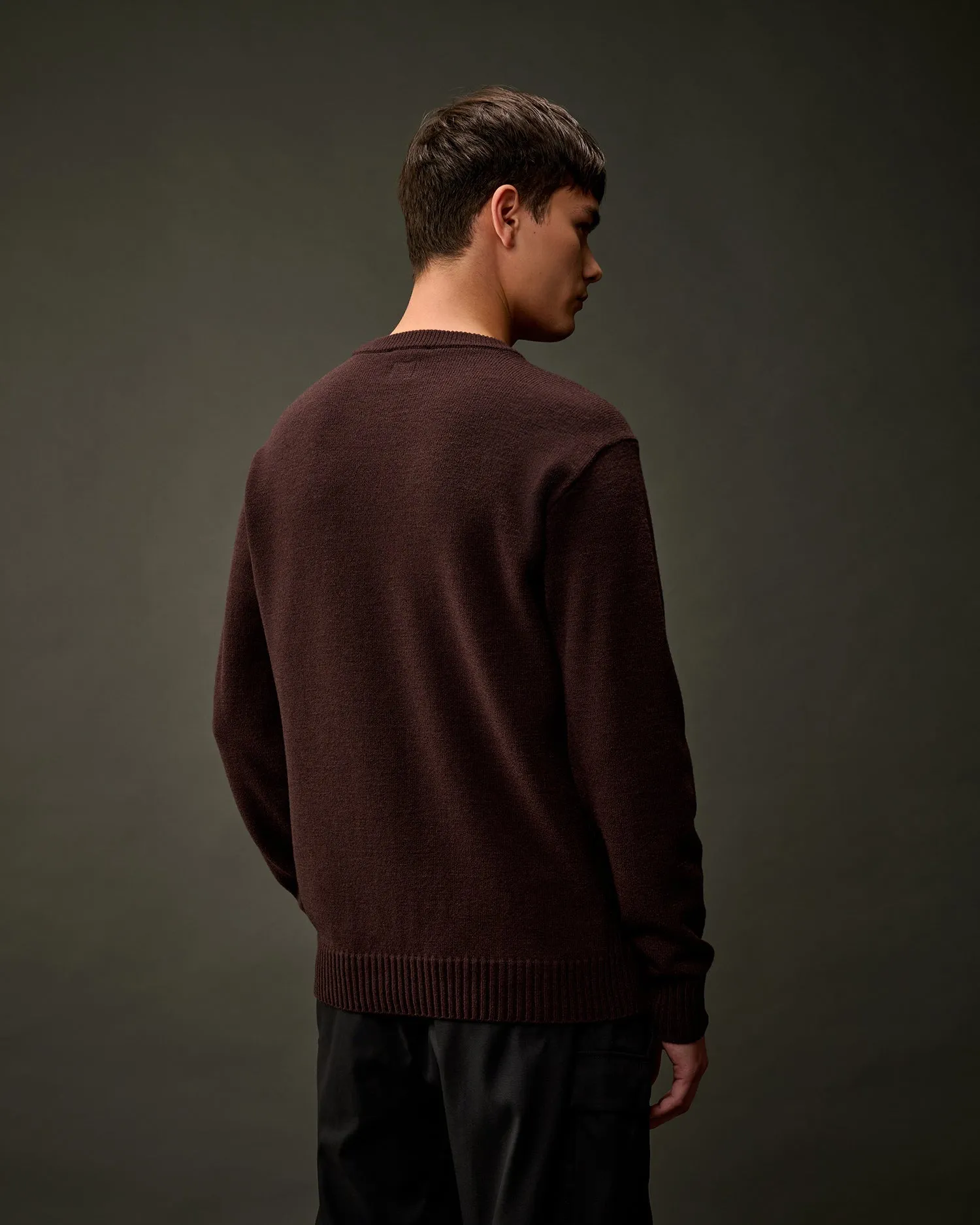 The Metropolis Series Extrafine Merino Wool Crew Neck Knit -Rum Raisin